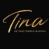 Gratis 2e kaartje voor Tina Turner Musical