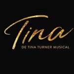 tina-turner-musical-gratis