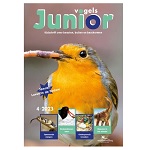 vogels-junior-tijdschrift